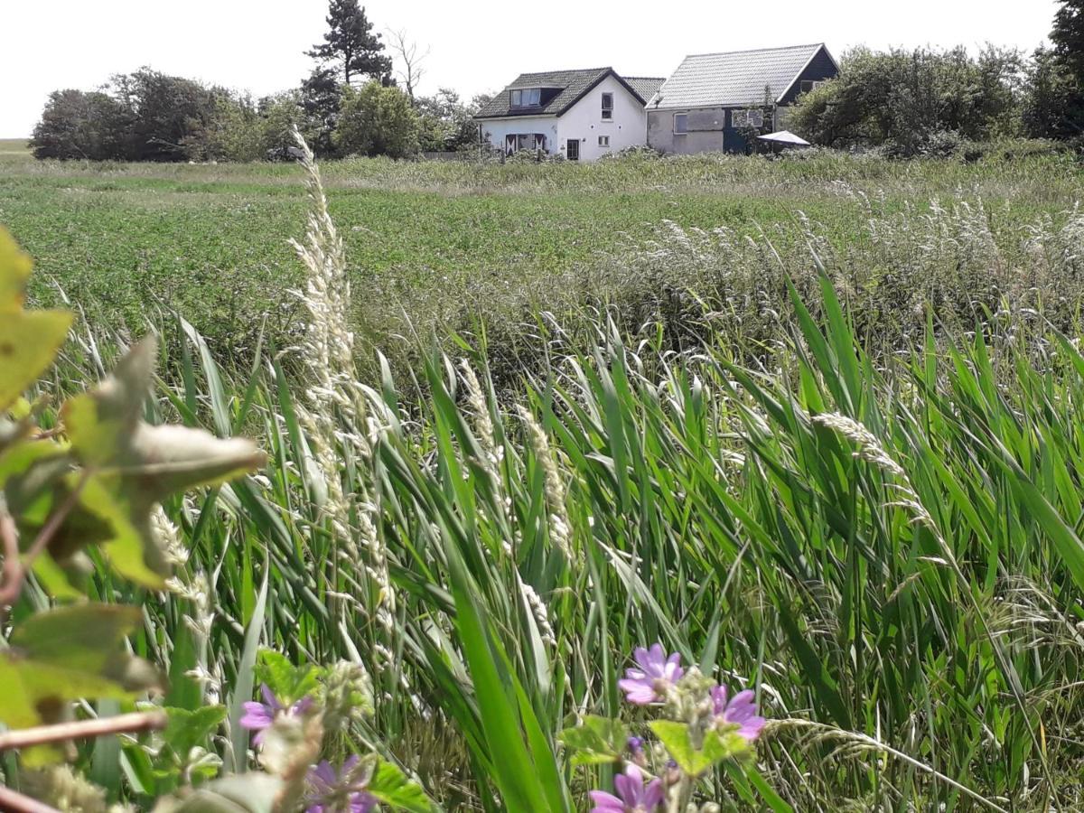 In De Boomgaard Lejlighed Burgh-Haamstede Eksteriør billede